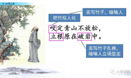 古诗视频,古诗视频中的古典韵味与时代共鸣